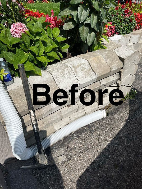 A picture of a garden with the words `` before '' written on it.