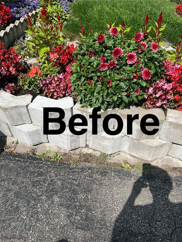 A before picture of a garden with flowers and a shadow of a person taking a picture.