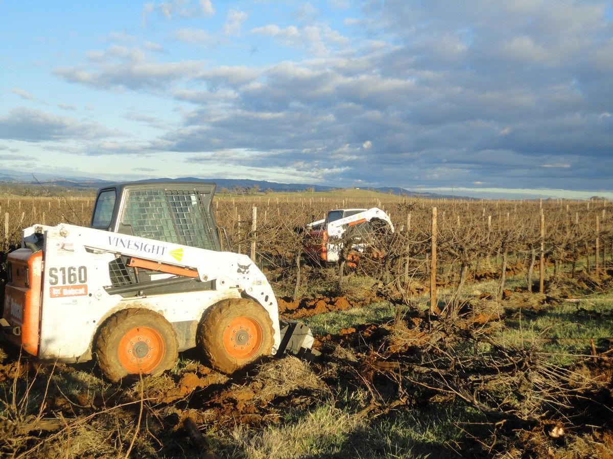 Vineyard Re-working Services