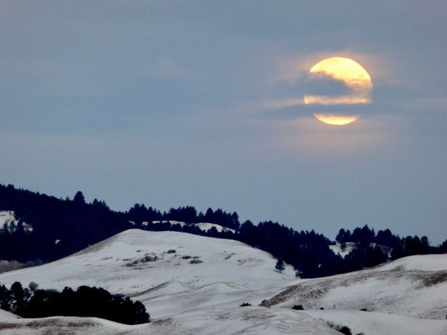 icy-landscape
