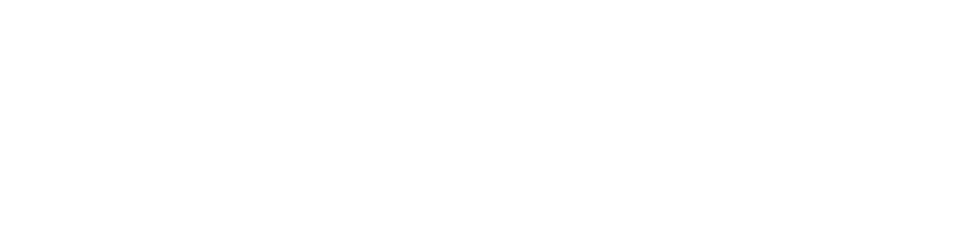 COMSAT logo: The words