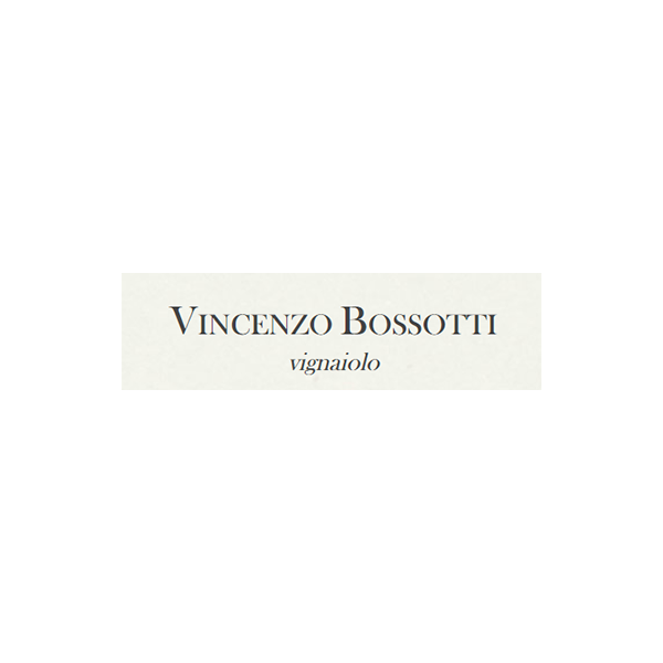 Es ist ein Logo für eine Firma namens Vincenzo Bossotti.