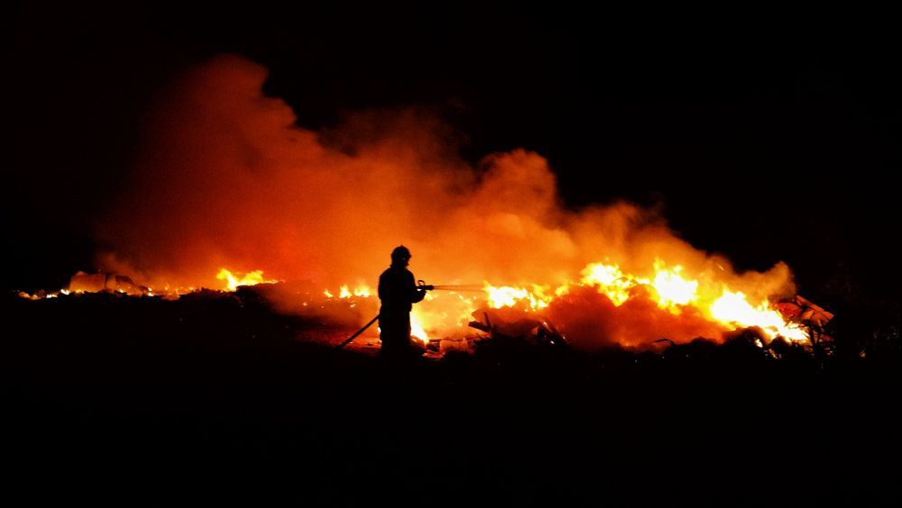Firemen Trying to Stop a Bushfire — All Tree and Stump Works in Gold Coast QLD