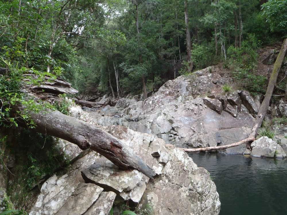 A Tree Branch is Laying on Top of a Rock Next to a River — All Tree and Stump Works in Mudgeeraba, QLD