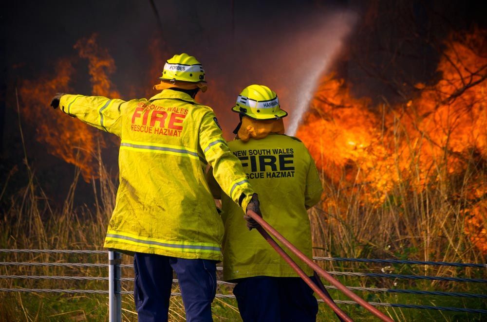 Two Firefighters Keeping a Bushfire Under Control — All Tree and Stump Works in Nerang, QLD
