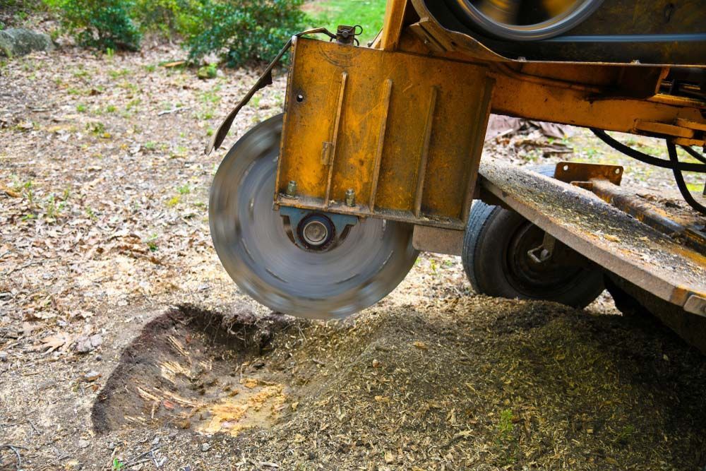 A Stump Grinding Machine Removing Stump Left by a Felled Tree — All Tree and Stump Works in Coomera, QLD