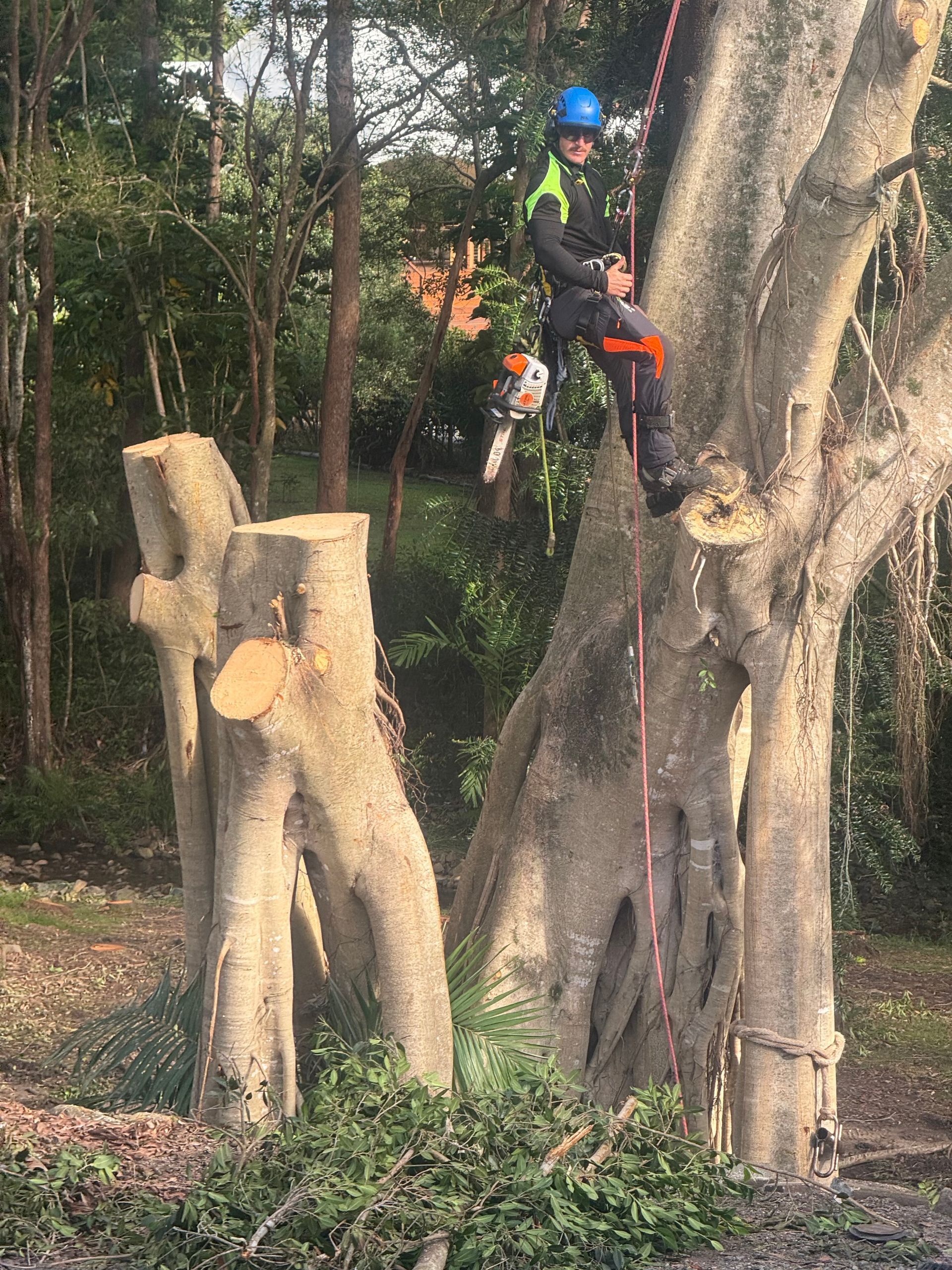 A Man is Cutting a Tree With a Chainsaw in Front of a House — All Tree and Stump Works in Gold Coast QLD