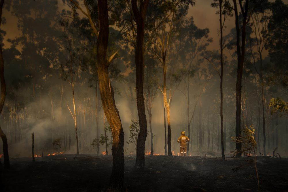 Rural Firefighter Watching Bush Fire — All Tree and Stump Works in Tallebudgera, NSW