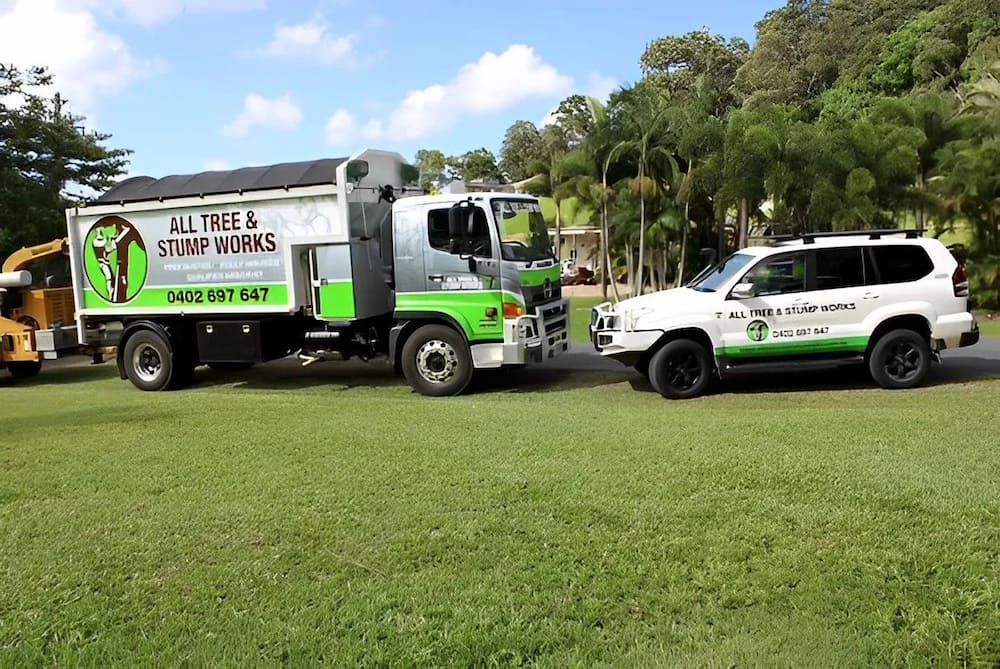 Two Arborist Work Vehicles — All Tree and Stump Works in Gold Coast QLD