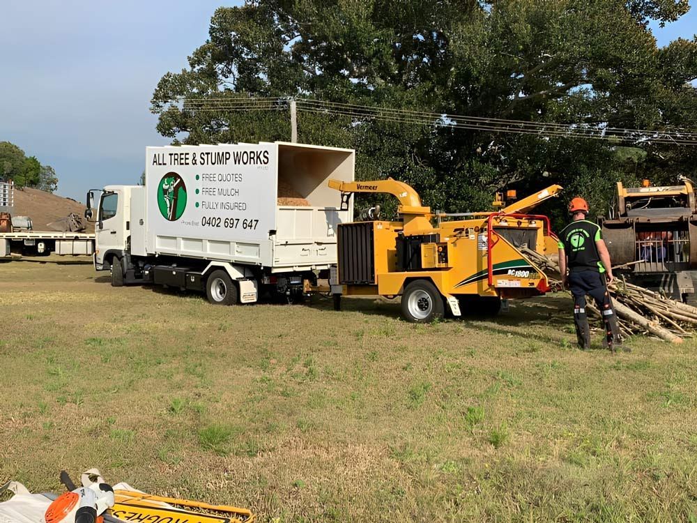 Wood Chipper Filling the Back of a Truck — All Tree and Stump Works in Gold Coast QLD