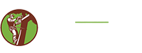 Tree Services Gold Coast