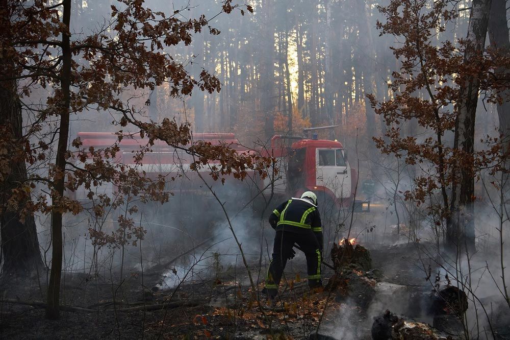 Firefighters Spray Water to Put Out a Bushfire — All Tree and Stump Works in Coomera, QLD