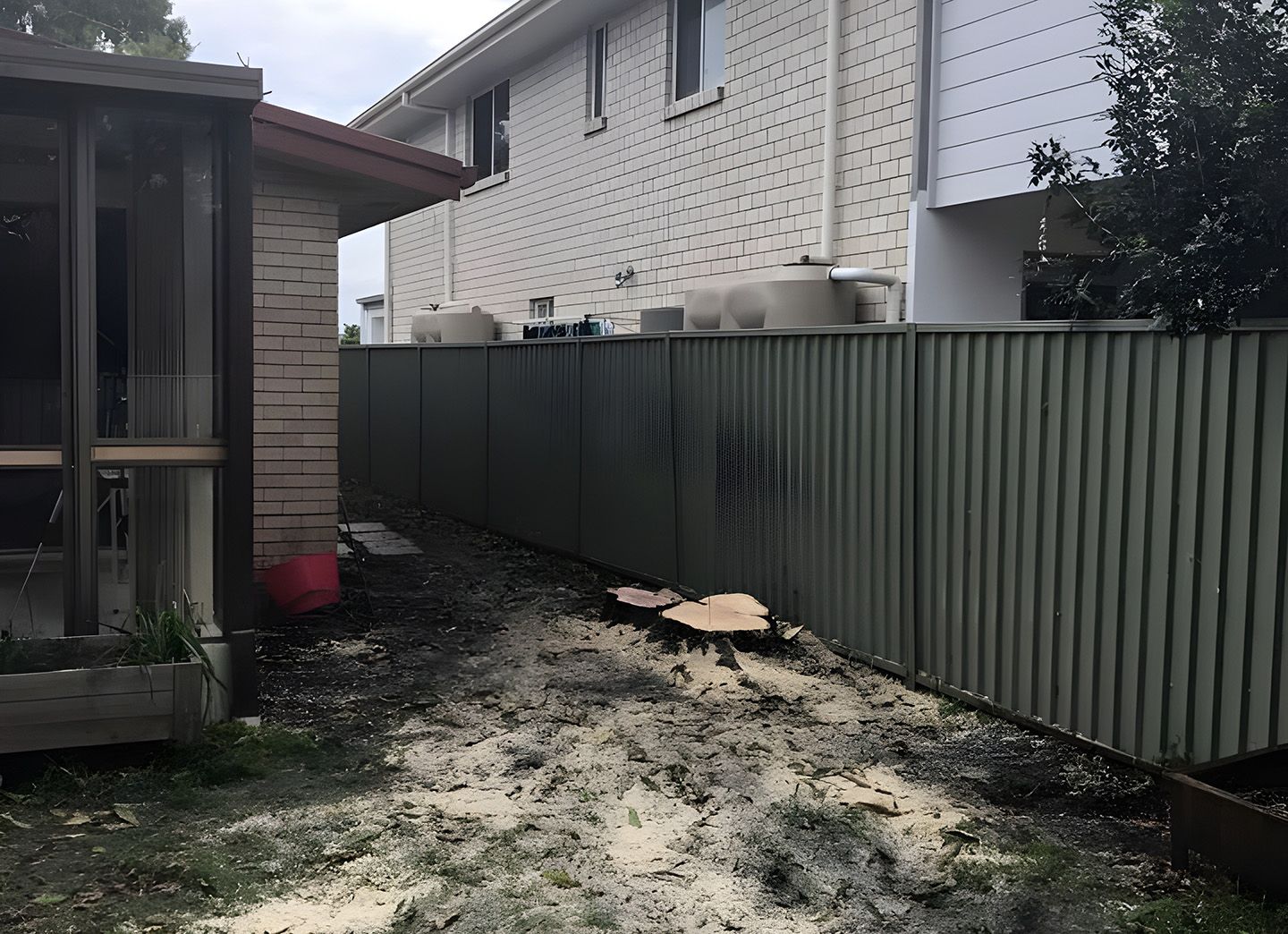 Tree Roots Damaging Soil Near House And Fence Boundary