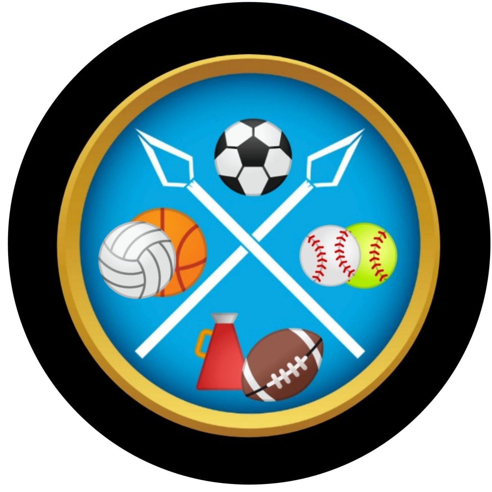 Sports emblem with a soccer ball, volleyball, baseball, football, and pompom on a blue background.