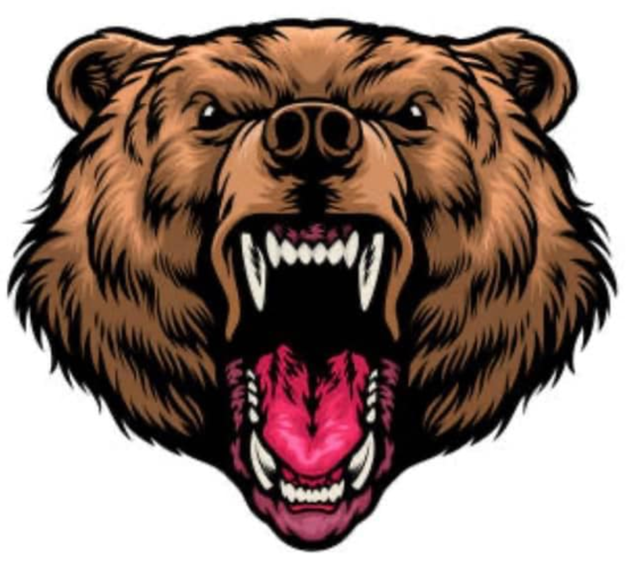 Brown bear head roaring, showing teeth, with a pink tongue.