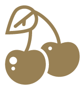 Stylized brown cherry icon with two cherries and a leaf on a white background