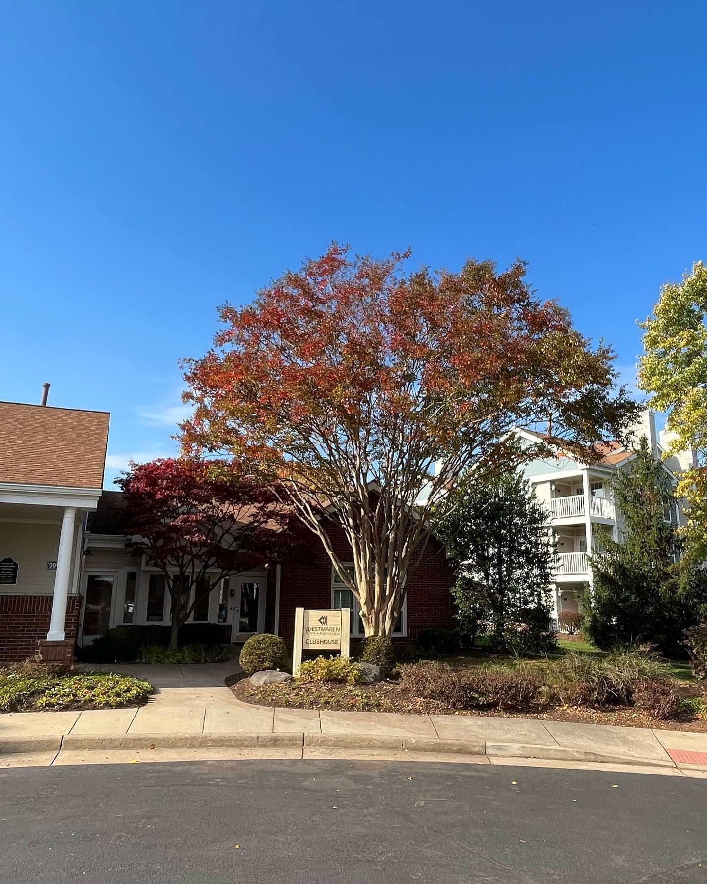 Building with trees and a sign on a sunny day. Red and green foliage. Clear blue sky.