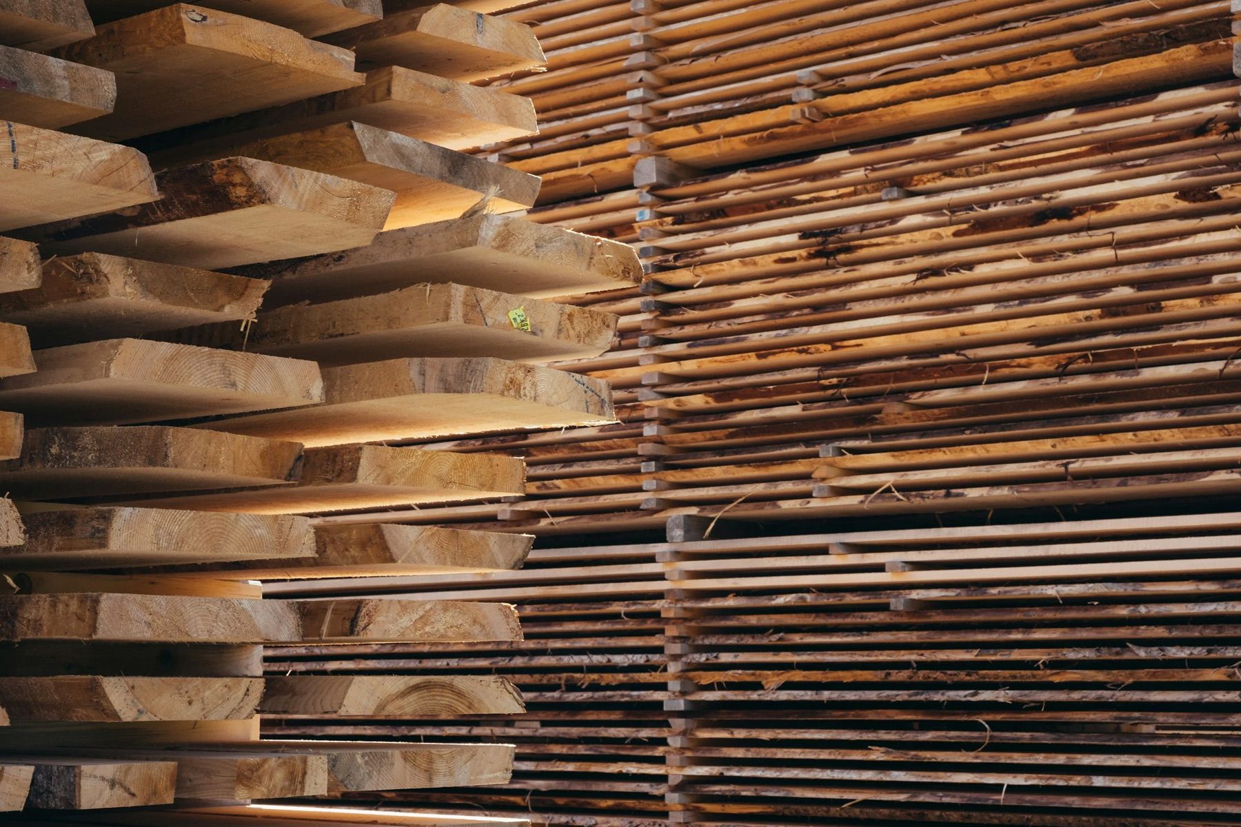Stacks of freshly cut wooden planks at a lumberyard, showcasing various textures and natural wood tones.