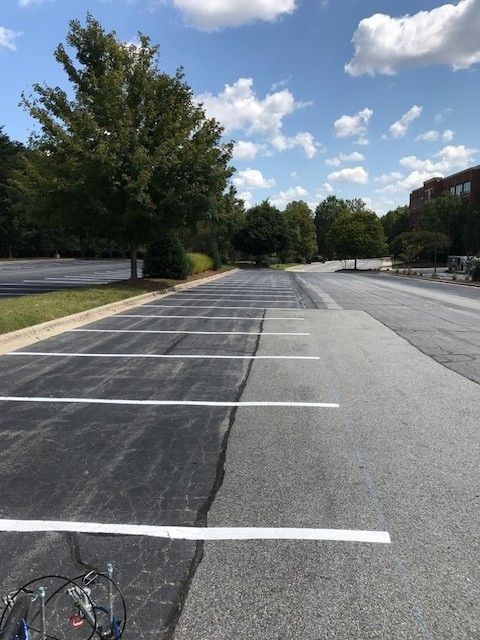 Empty parking lot with white painted lines beside trees under a blue sky.