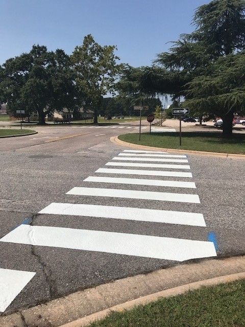 Zebra crosswalk across a curving road in a park with trees and grass