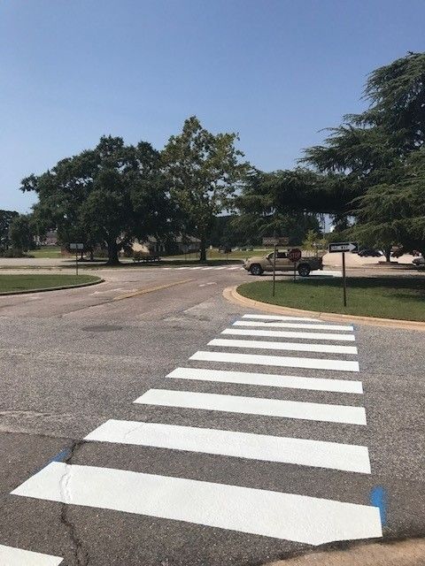 Painted crosswalk on a quiet road in a sunny park with trees and a bench nearby