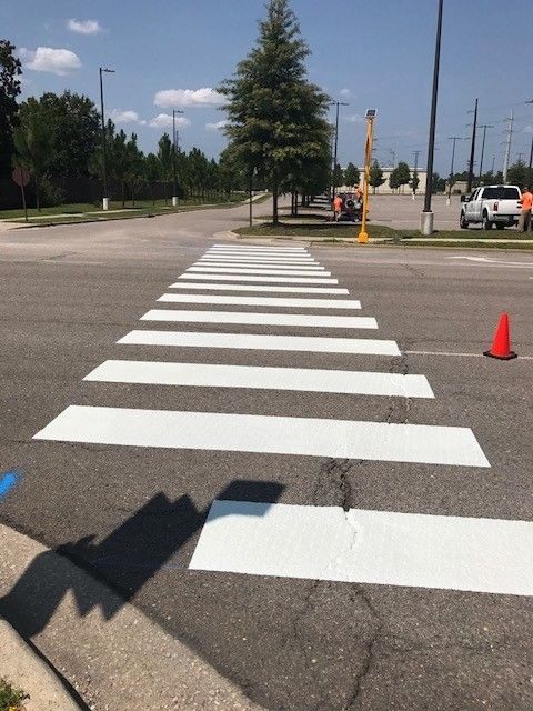 White striped pedestrian crosswalk on an asphalt road with orange cone and trees nearby