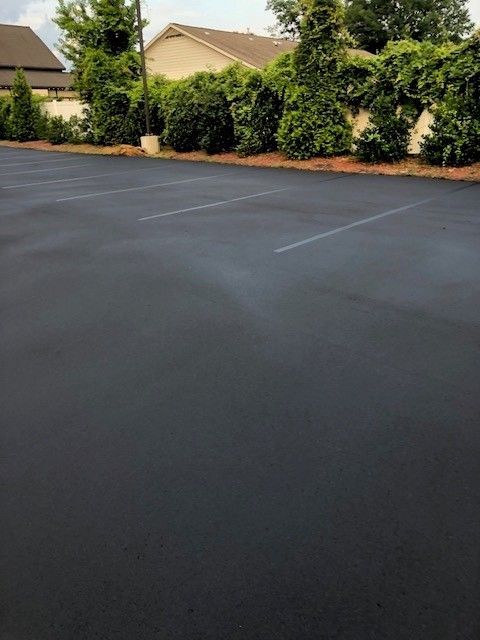 Empty blacktop parking lot beside green shrubs and houses