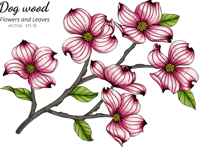 A logo for a cleaning company with a pink flower and green leaves.