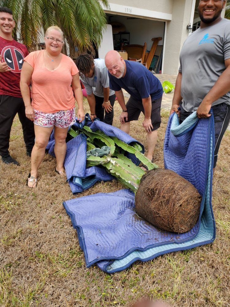 People on a lawn with a large uprooted plant laid on blankets