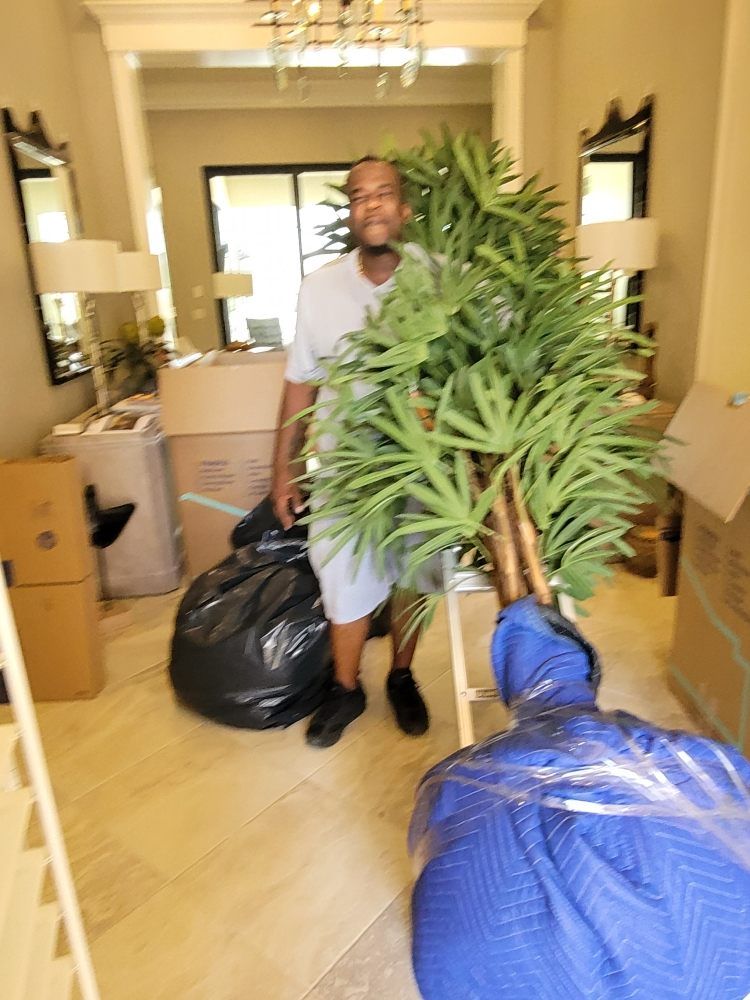 Person moving large potted plants and trash bags through a hallway with moving boxes in the background