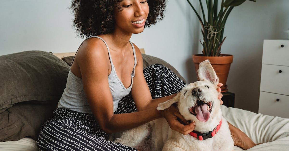 Woman with pet dog inside the apartment