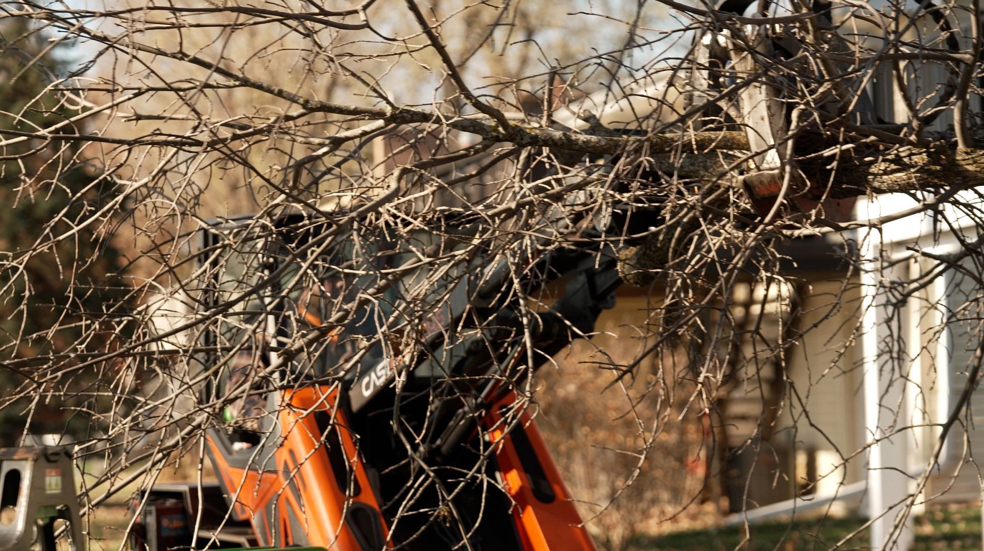 Land Clearing