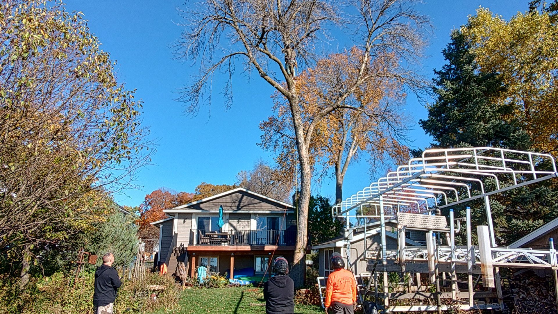 Tree Removal