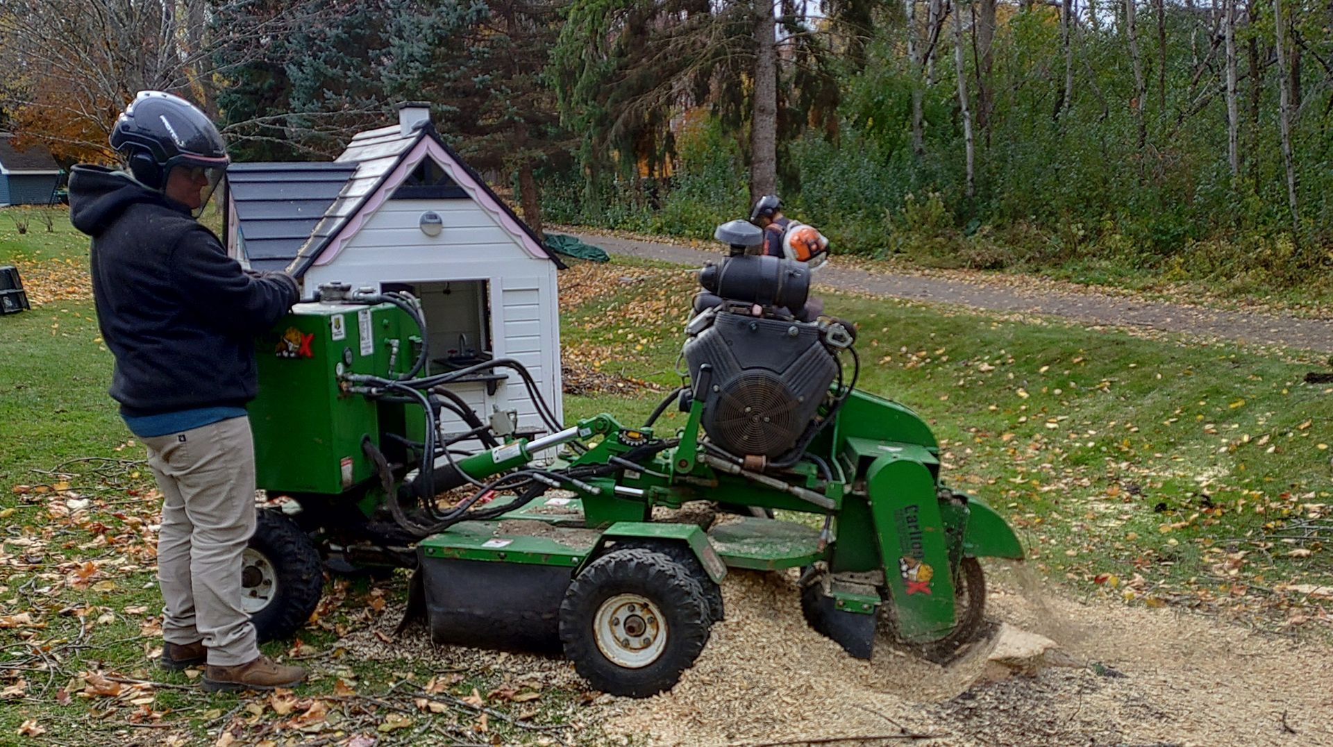Stump Removal