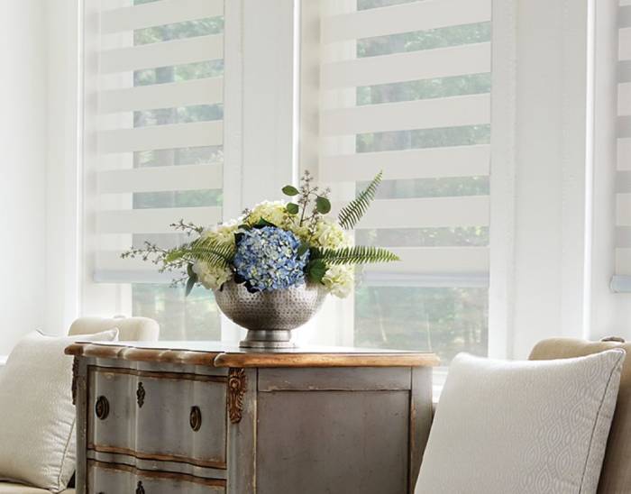 Graber® Mezzanine Layered Shades, roller shades, solar shades, banded shades, near Spicewood, Texas (TX)