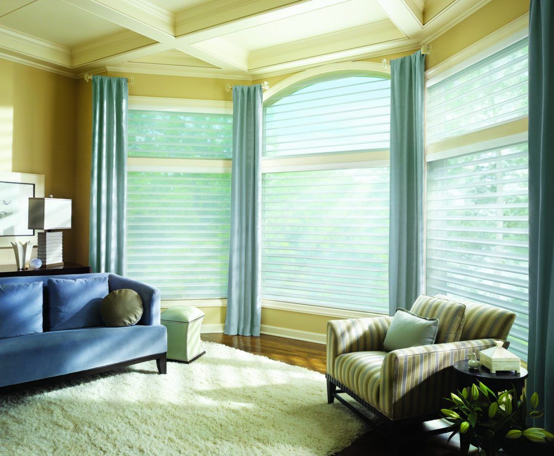 A Guide to Hunter Douglas Premium Shades Near New Braunfels, Texas (TX) like Silhouette