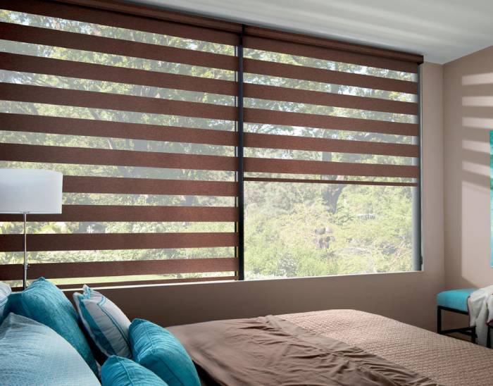 Hunter Douglas Designer Banded Shades, roller shades, solar shades, layered shades, near Spicewood, Texas (TX)