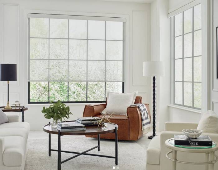 Hunter Douglas Designer Roller Shades, solar shades, banded shades, layered shades, near Spicewood, Texas (TX)