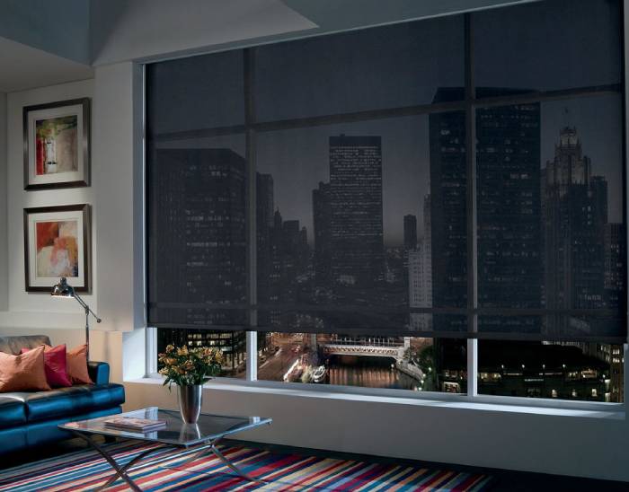 Hunter Douglas Designer Screen Shades, roller shades, solar shades, banded shades, layered shades, Spicewood, Texas (TX)