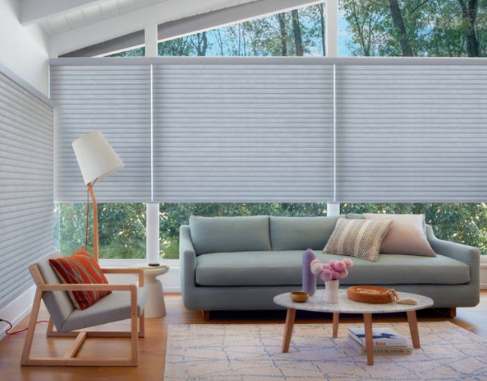 Hunter Douglas Sonnette® Cellular Roller Shades, solar shades, banded shades, layered shades, near Spicewood, Texas (TX)