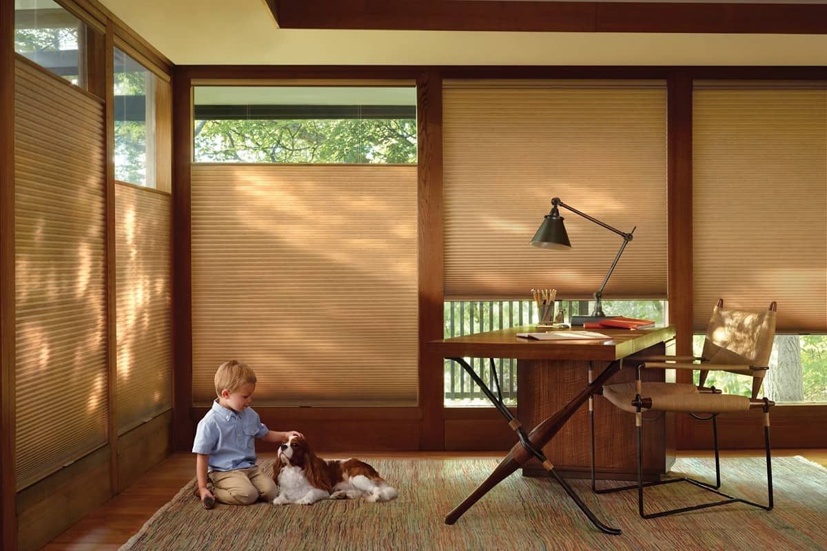 Hunter Douglas Duette® Cellular Shades near Austin, Texas (TX)