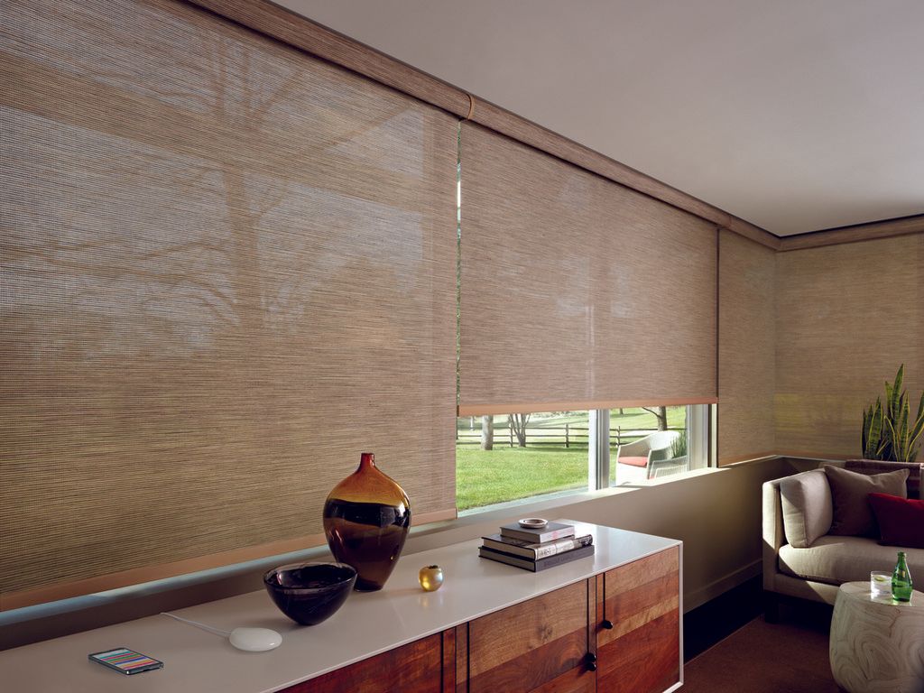 Setting Scenes in the PowerView App Near New Braunfels, Texas (TX) for Shades in Living Rooms