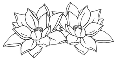 Assaya Sangha Logo of two lotus blossoms, outlined in black, arranged horizontally with surrounding leaves.