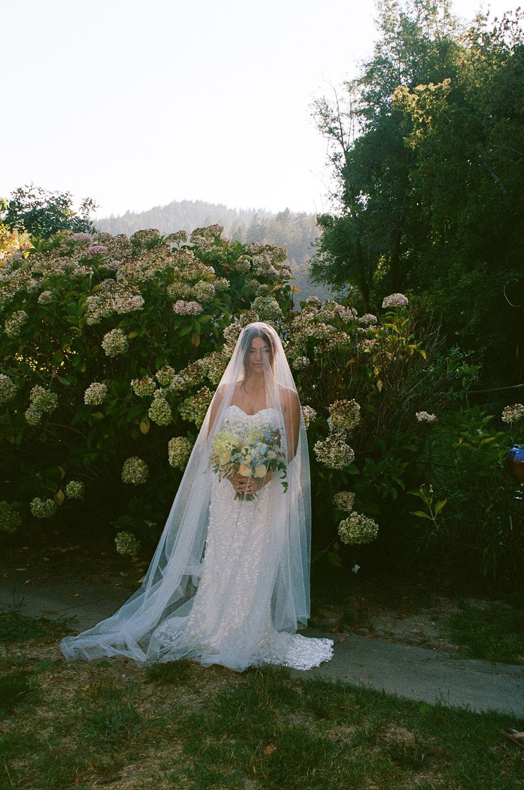 Bride in a white gown and veil holding flowers, standing in front of a bush.