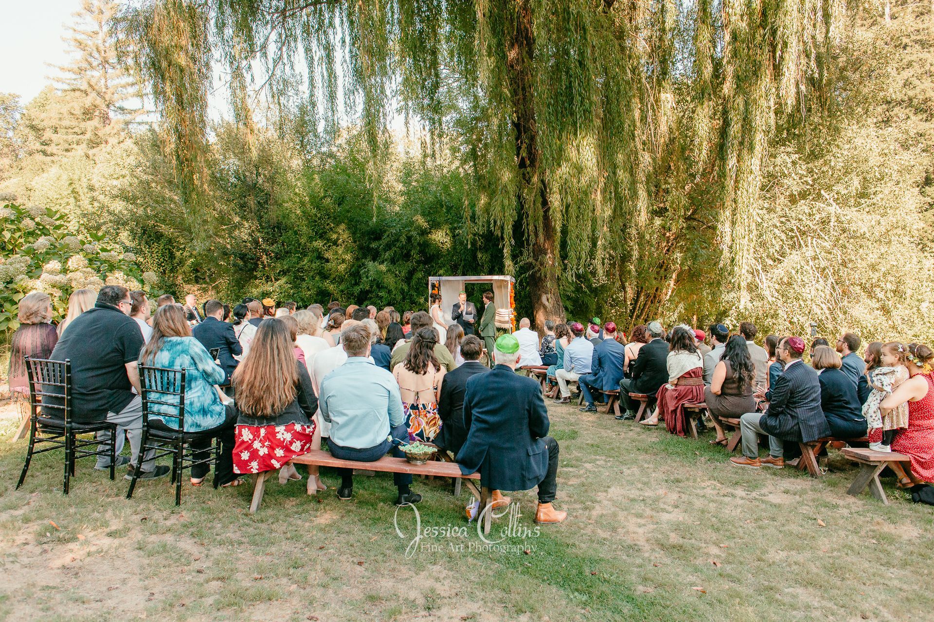 Wedding guests sit on the lawn facing our famous willow tree watching a couple get married