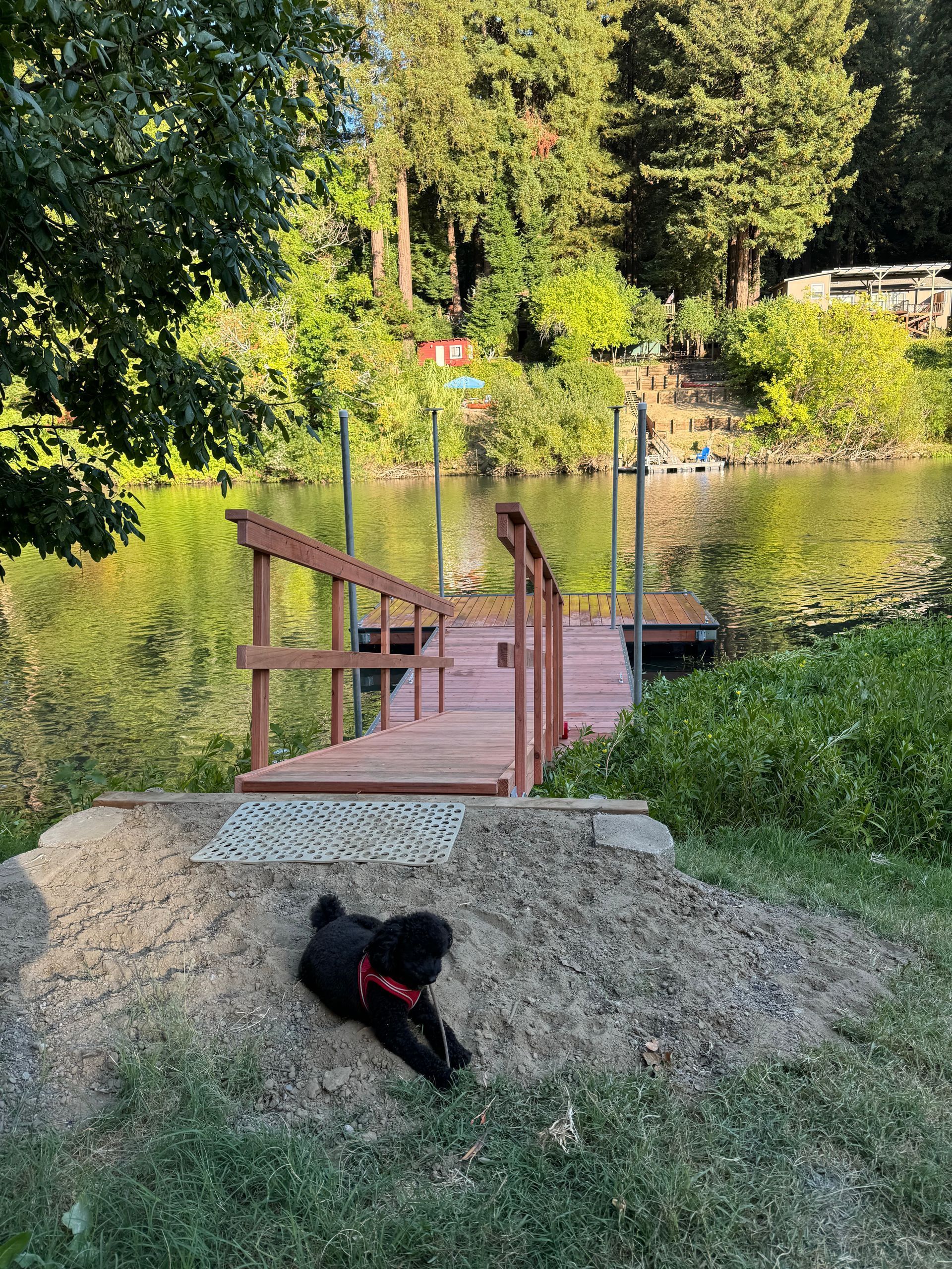Black dog resting near a wooden dock overlooking a calm body of water; trees in the background.