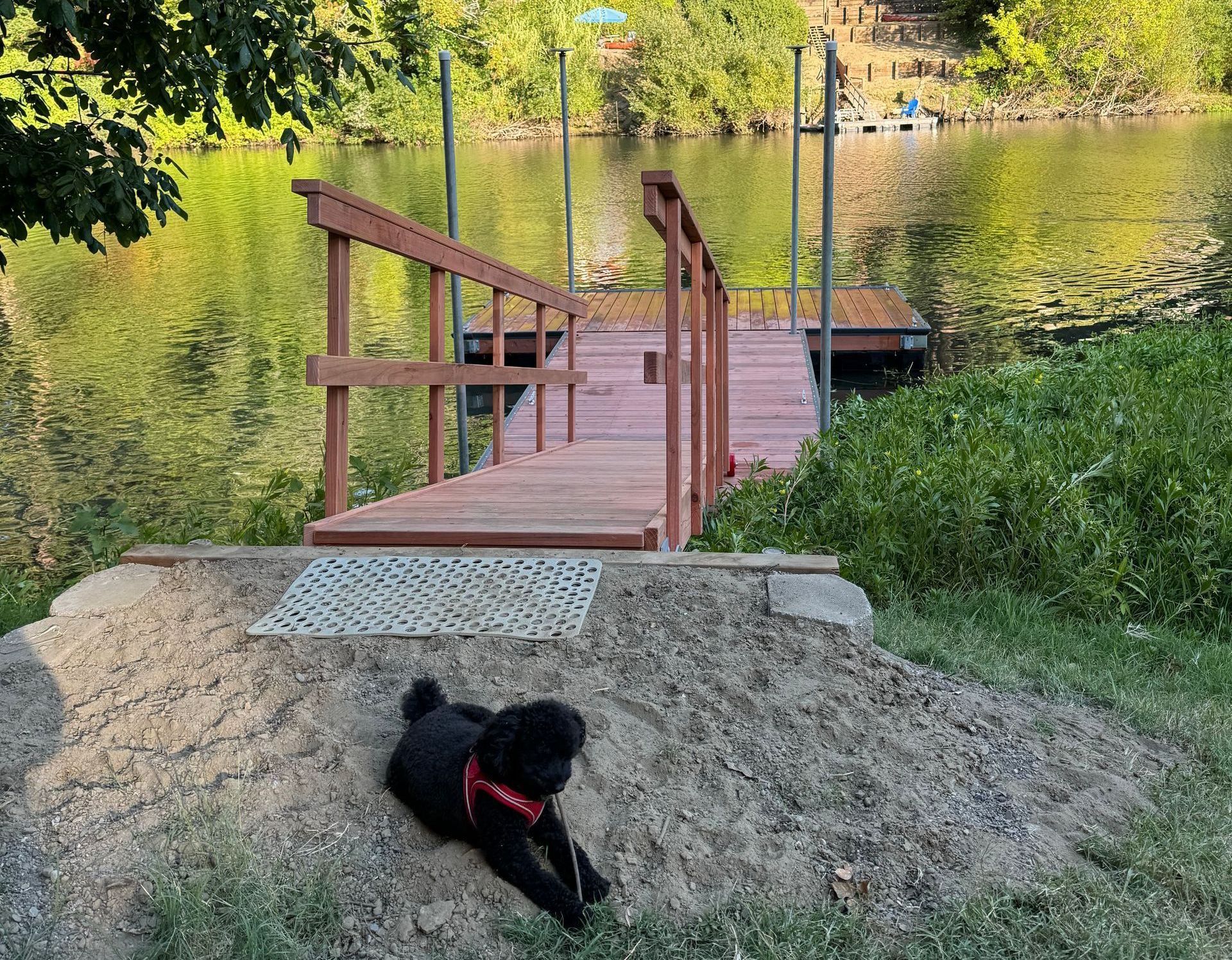 Black dog resting near a wooden dock leading to a lake.
