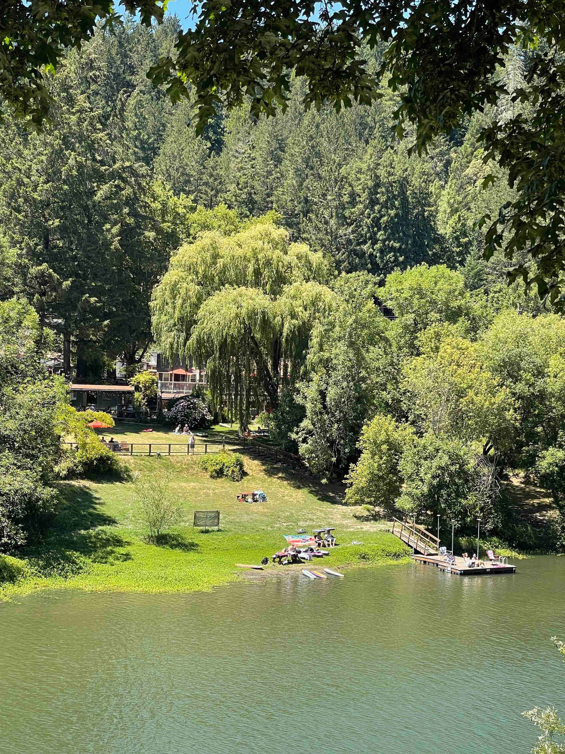 Lush green trees surround a lake with a house on a grassy bank. People sunbathe and relax near the water.