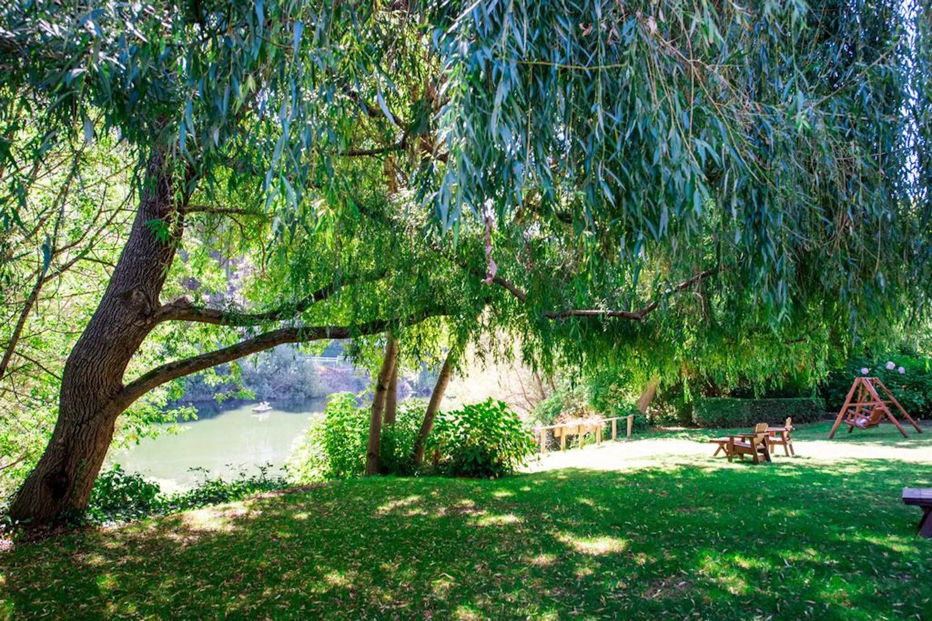 A large tree is sitting in the middle of a lush green field.
