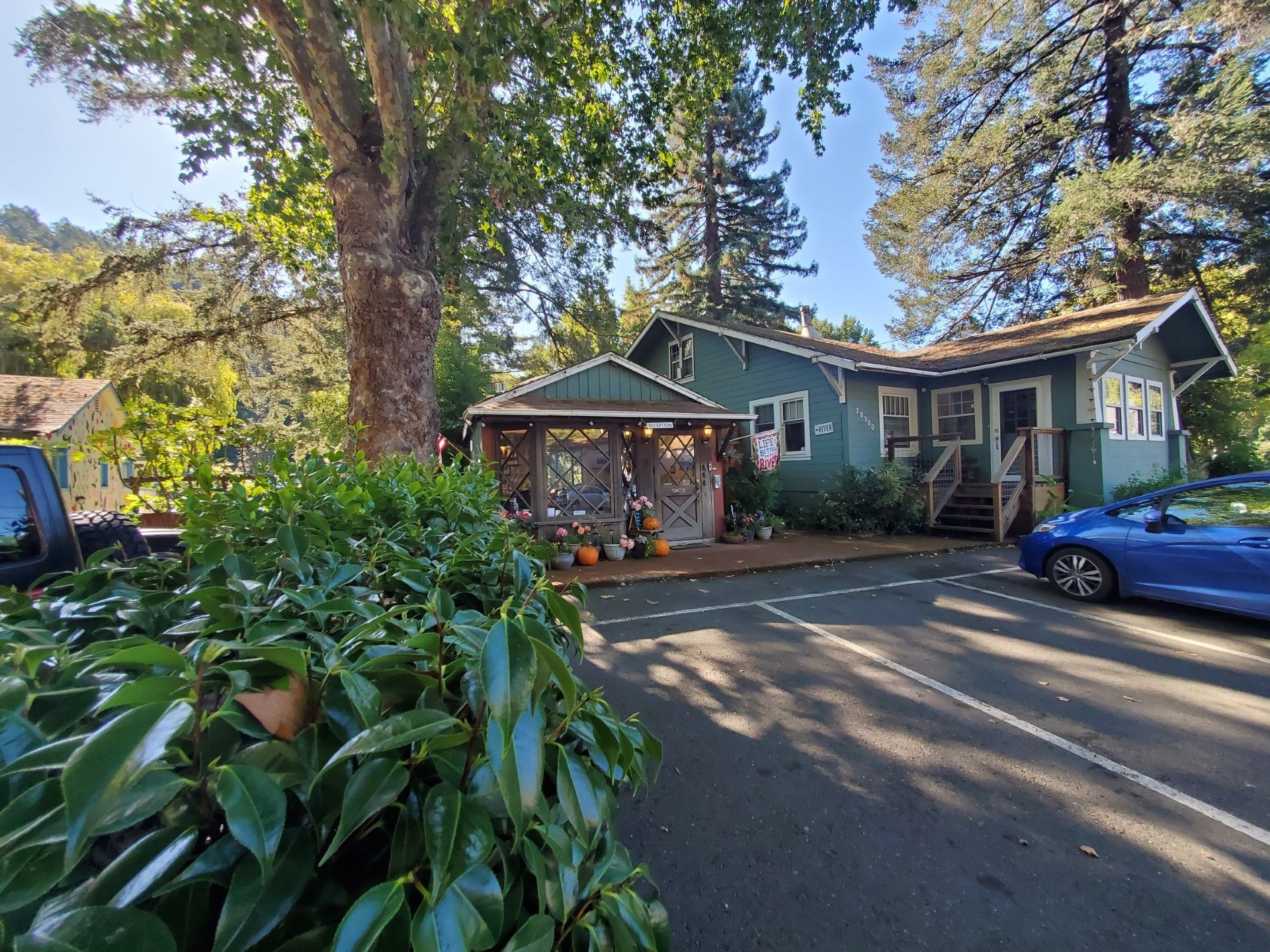 Green house with a porch decorated for fall, parked cars, and trees on a sunny day.